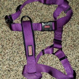 Kong Harness